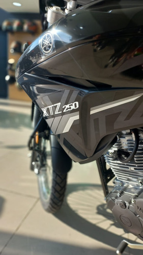 Imagen 16 de 17 de Yamaha Xtz 250 0km Tamburrino Motos Entrega Inmediata