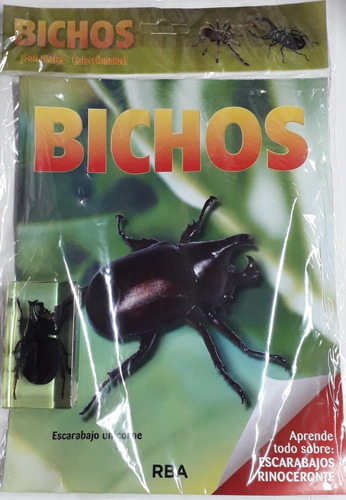 Bichos Escarabajo Unicorne + Fasciculo - Rba