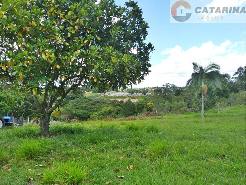 Imagem 5 de 5 de ***lançamento***