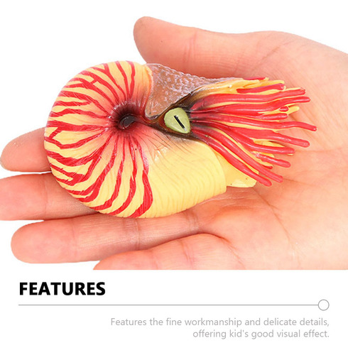 Adorno Simulado Con Forma De Nautilus, Modelo De Animal Mari