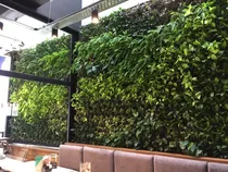 Comprar Jardin Vertical Jardines Verticales Muro Verde