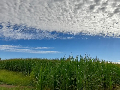 Se Vende Terreno Agricola