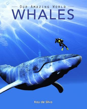 Libro Whales - Kay De Silva