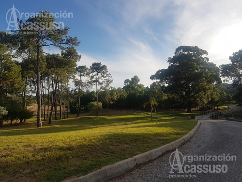 Imagen 10 de 20 de Terreno - Club Del Lago