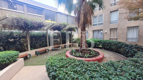 Imagen 15 de 18 de Departamento Con 3 Dormitorios (con Walking Closet) Y 1 Baño