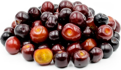 Frutal De Capulin, Cereza Negra, Cerezo Mexicano Con Envio