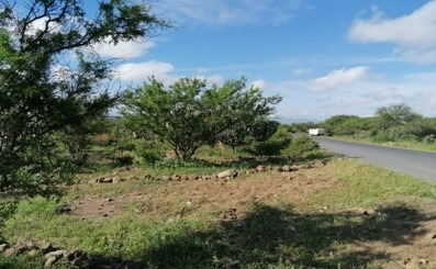 Imagen 5 de 5 de Se Venden 2 Hecteareas En Tequisquiapan Hasta 12 Msi