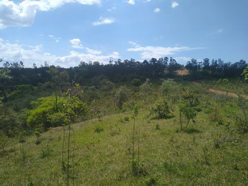 Imagem 13 de 13 de Sítio 6,5 Alqueires, Rica Em Água Com Lago, Casa Sede Com 90m2, 2 Dormitórios, Sítio Ótimo Para Pecuária, Ótima Localização - St00153 - 70457381