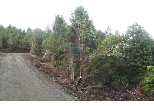 Imagen 3 de 30 de Parcela Disponible - Chiloe
