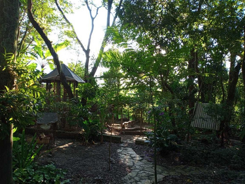 Imagem 4 de 27 de Pj Linda Casa A Venda
