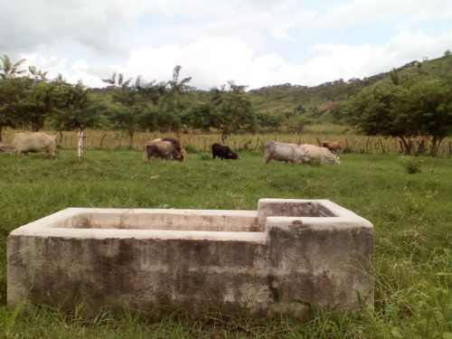 Se Vende Granja En El Estado Carabobo Ve02-1321carab-mtru