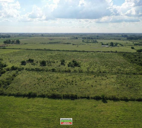 Imagen 7 de 12 de Lotes Rurales De 3,5 Has Cada Una En Ejido Colón