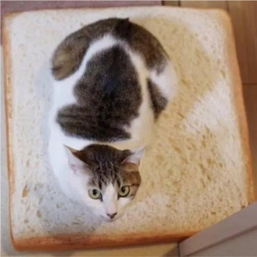 Seat Cushion Pet Seat Cushion Simulation Bread