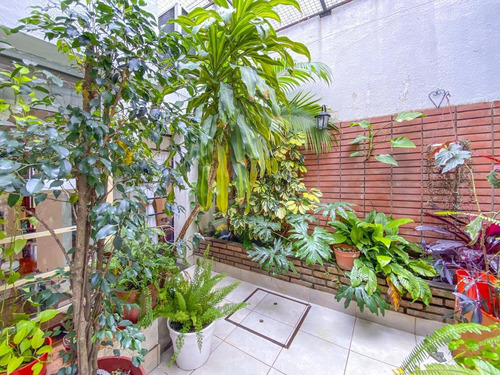 Casa En Ph De 3 Dormitorios Con Terraza
