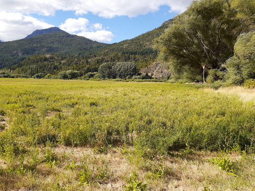 Chacra - Ruta 40