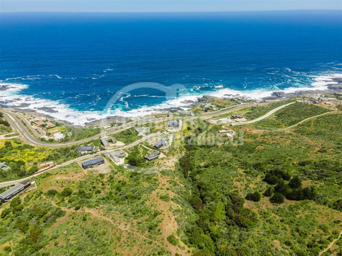 Imagen 8 de 8 de Sitio En Venta En Zapallar