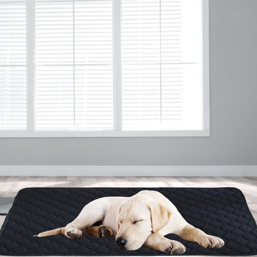 Almohadilla Lavable Para Orina De Perro, Reutilizable, Xl