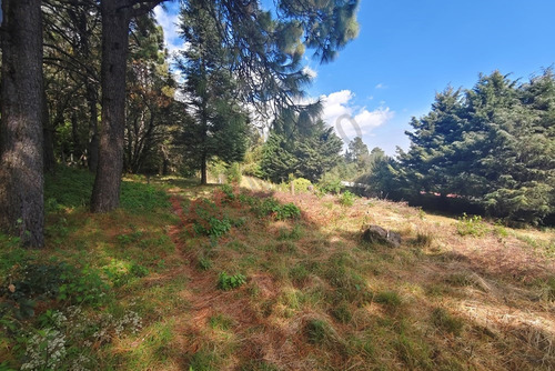 ¡invierte En Grande! Terreno Con Gran Potencial En El Corazón Del Ajusco: 2257 M2