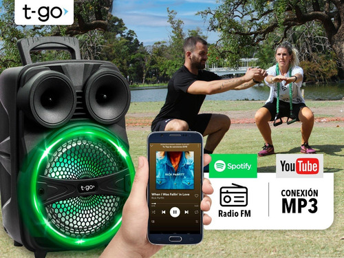 Parlante Karaoke Bluetooth Potente 3000wts Luces + Micrófono