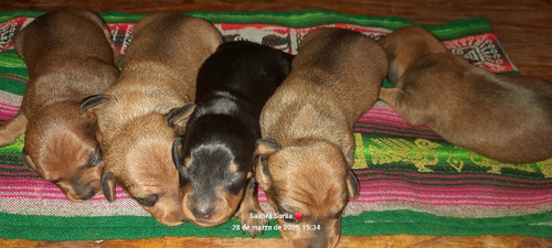 Hermosos Bebés Disponibles