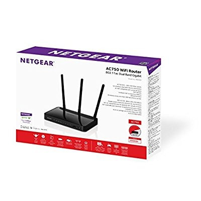 Netgear Ac750 De Doble Banda Wi-fi Gigabit Router (r6050)