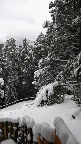 Imagen 19 de 21 de Alojamiento Bariloche Cabaña 5/6 Personas, En El Bosque Con Vista