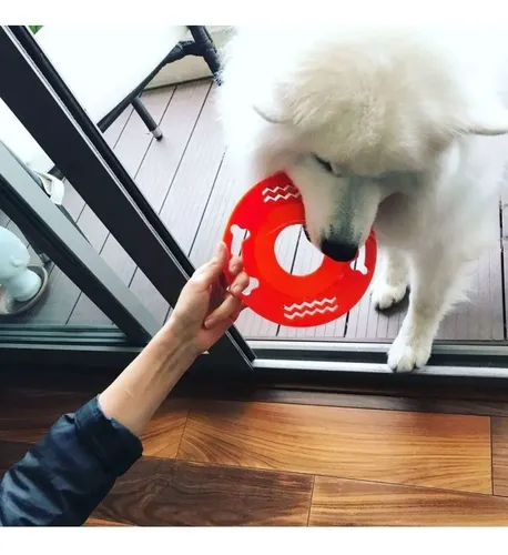 Juguete Frisbee Para Mascotas