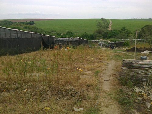 Imagem 8 de 28 de Chácara À Venda, 20000 M² Por R$ 530.000 - Ipiranga - Elias Fausto/sp - Ch0029