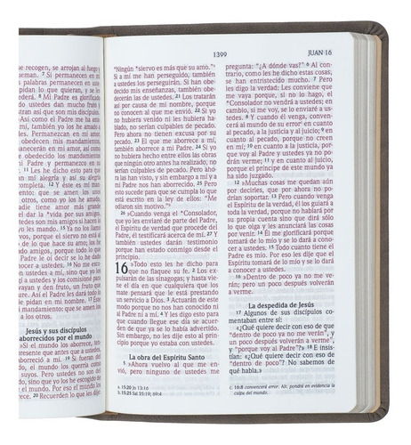Biblia Nueva Versión Internacional Nvi Gris Letra Grande