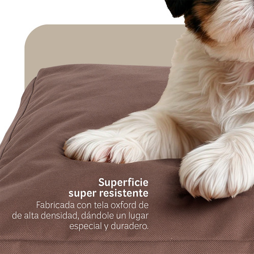 Cama Perro Chico Colchoneta Foam Mascota Esquimal Pets