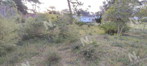 Imagen 8 de 10 de Oportunidad - Punta Del Este Marly