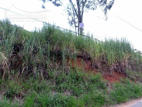 Imagem 10 de 11 de Terreno Em Pedras Ruivas - Paty Do Alferes - 1220
