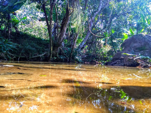 Imagem 4 de 6 de Terreno Área De Chácara Em Mongaguá. Ref. 468