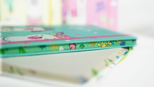 Imagen 2 de 3 de Cuaderno Tapa Dura Libreta Anotador Elastico Llama