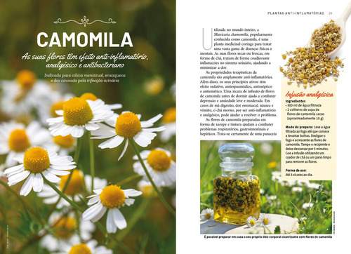 Plantas Anti-inflamatórias