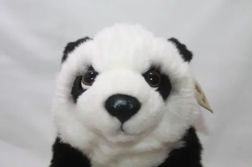 Oso Panda Wwf Original Importado 25 Cms De Largo