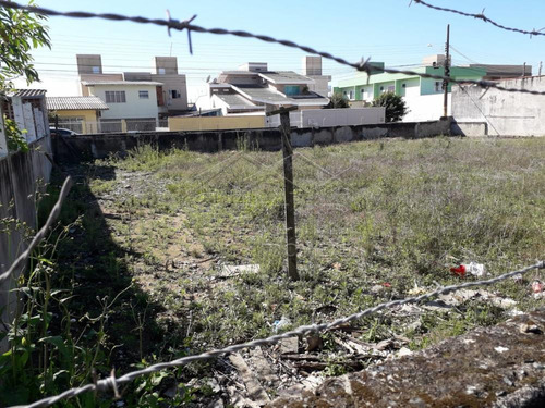 Imagem 4 de 10 de Terrenos - Ref: V722