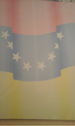 Cartulina Para Encuadernar Bandera Nacional ( X 20 Unid.)