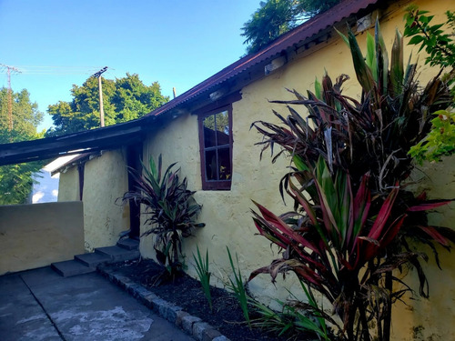 Imagen 3 de 7 de Casa En Venta En Conchillas - Oportunidad De Inversion
