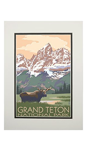 Parque Nacional Grand Teton, Wyoming, Moose Y Swa0o