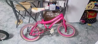 Bicicleta Niña Rin 20 Gw