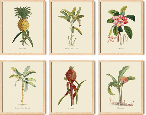 97 Decor Arte De Pared Botánico Tropical Vintage ' Impresion