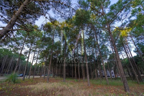 Imagen 3 de 5 de Lote En Venta - Pinamar Norte