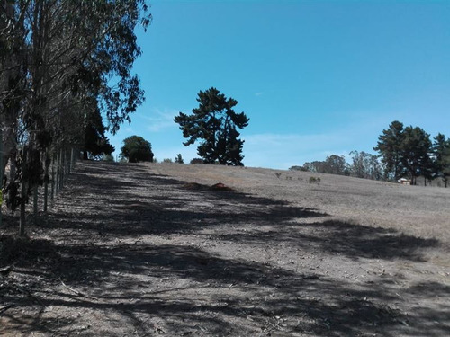 Sitio En Algarrobo!bajo El Valor De Tasación, Ofertón!