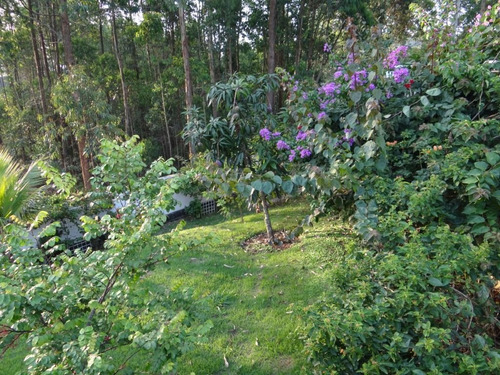 Imagem 28 de 30 de Casa À Venda, 650 M² Por R$ 4.299.000,00 - Serra Da Cantareira - Mairiporã/sp - Ca2599