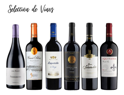 6 Vinos Selección Mix 