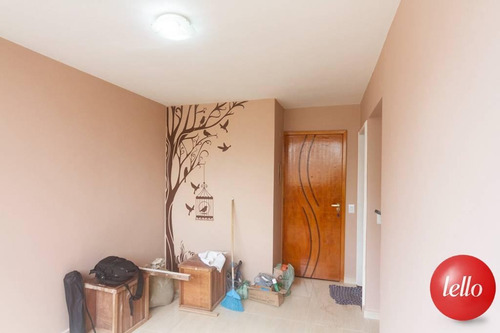 Imagem 2 de 23 de Apartamento - Ref: 237295