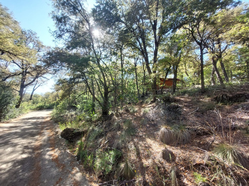 Sitio 4,800m2 Con Cabaña - Las Trancas - Pangue Propiedades