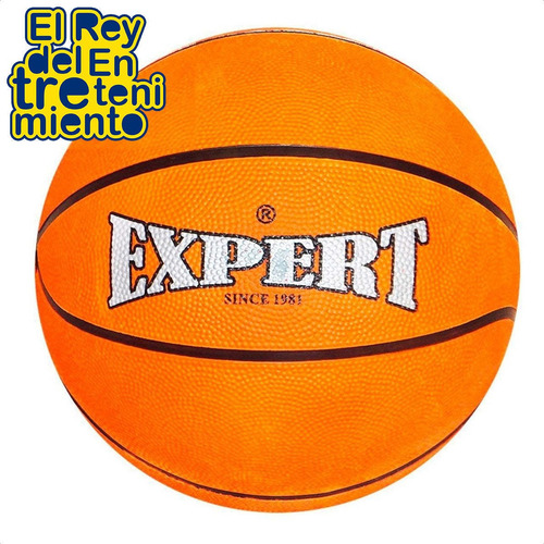 Imagen 4 de 5 de Aro De Basketball Profesional + Pelota + Red Basket - El Rey