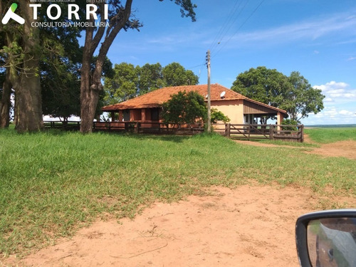 Imagem 1 de 20 de Fazenda À Venda Em Alto Alegre - Fa00176 - 69382951